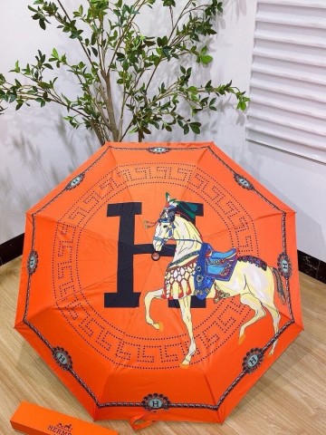Зонт Hermes