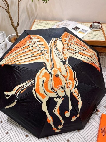 Зонт Hermes