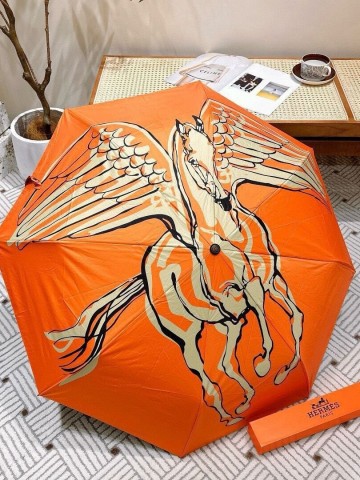 Зонт Hermes