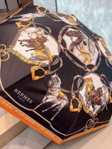 Зонт Hermes