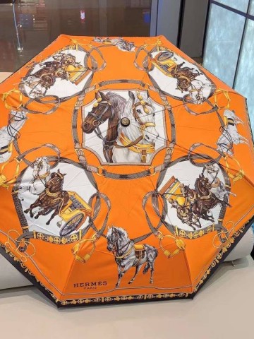 Зонт Hermes