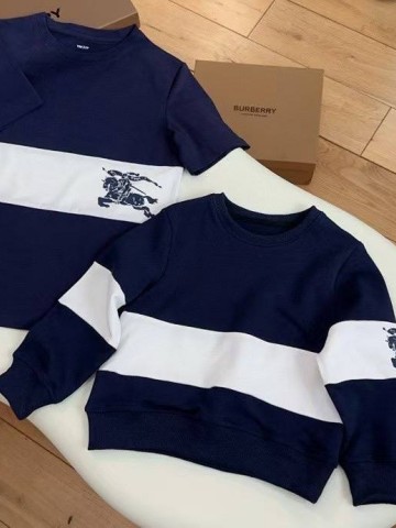 Кофта Burberry