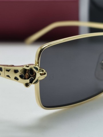 Cartier очки #119410AS