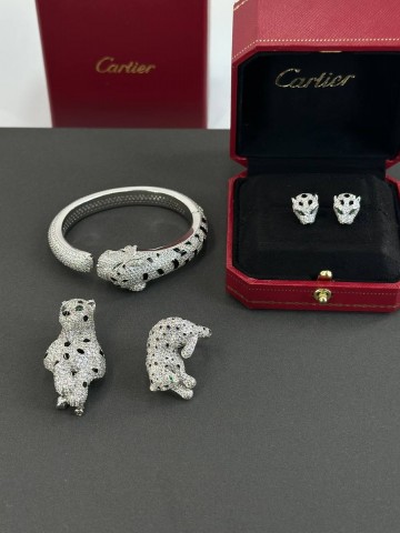 Cartier брошь #211219QN