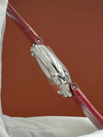 Cartier часы #245661WN