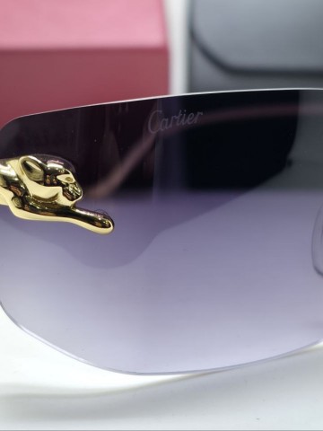 Cartier очки #273297VR