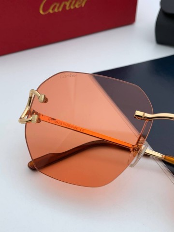 Cartier очки #301380LT