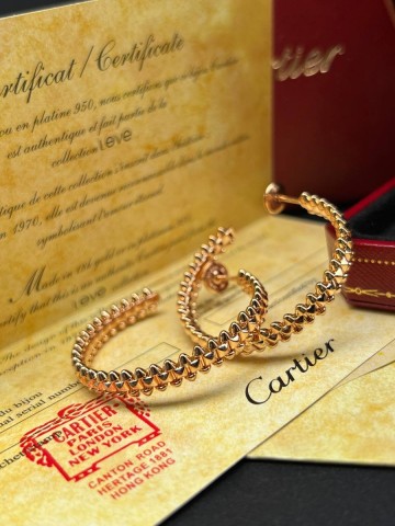 Cartier серьги #331164IA