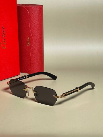 Cartier очки #512013QI