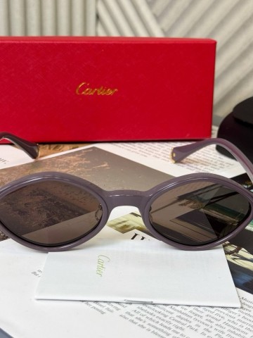 Cartier очки #571713WT