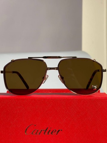 Cartier очки #755663CF