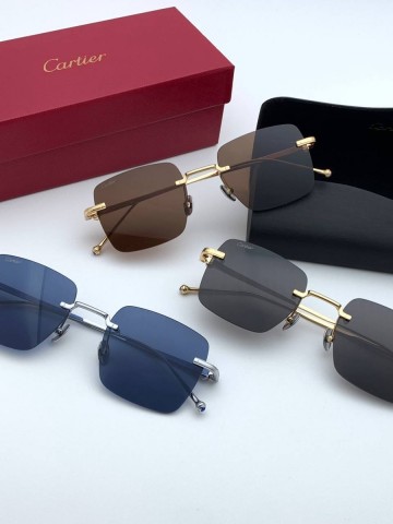 Cartier очки #804839ON