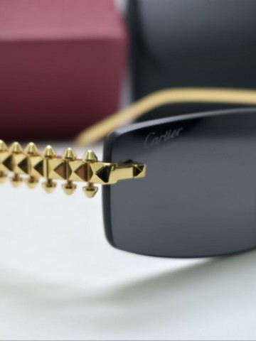 Cartier очки #805195NC