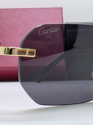 Cartier очки #882134CF