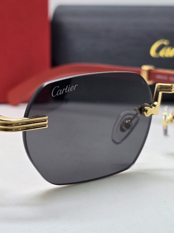 Cartier очки #905329PP
