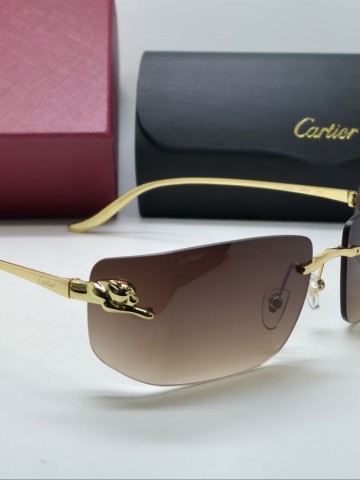 Cartier очки #980092LR