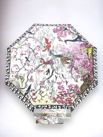 Dior зонт