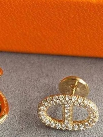 Hermes серьги