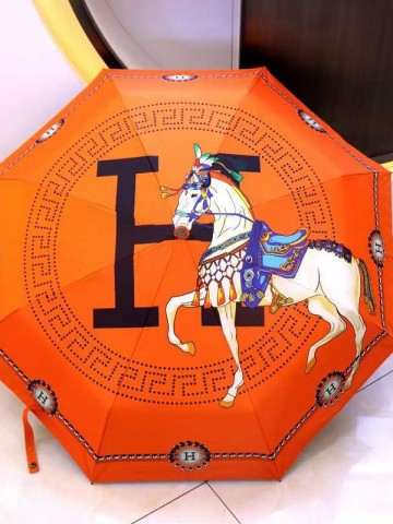 Hermes зонт