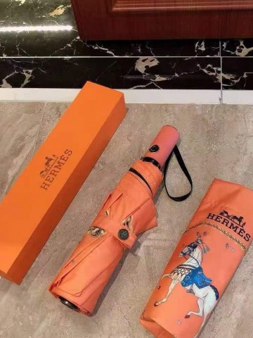 Hermes зонт