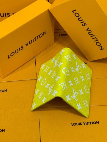 Louis Vuitton обложка на паспорт