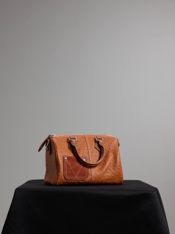 Louis Vuitton Speedy P9 25 сумка