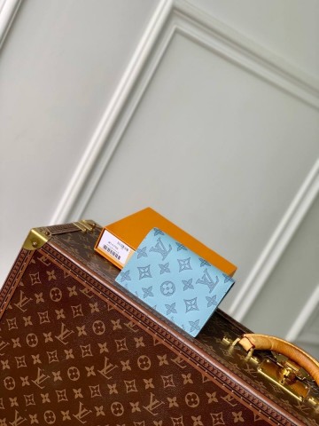 Louis Vuitton обложка на паспорт