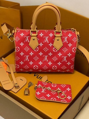 Louis Vuitton Speedy сумка