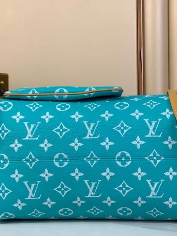 Louis Vuitton Speedy сумка