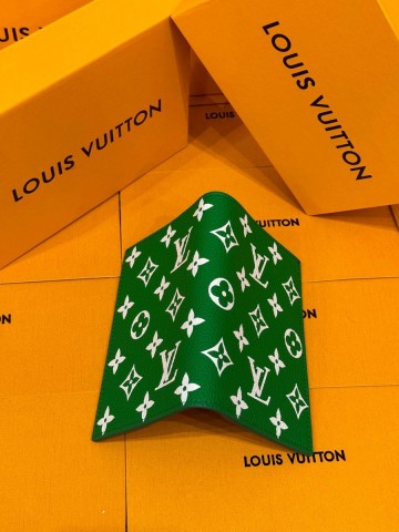Louis Vuitton обложка на паспорт