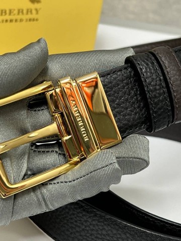 Salvatore Ferragamo ремень #634548EE