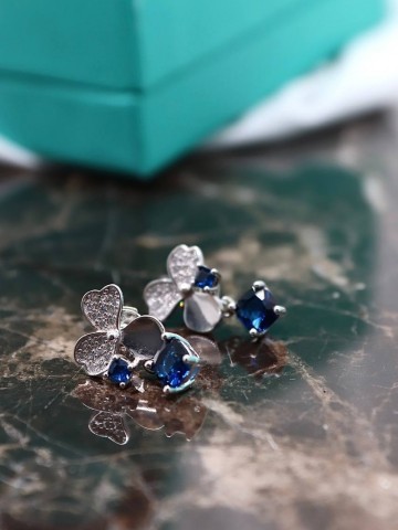 Tiffany & Co. серьги #107022QI