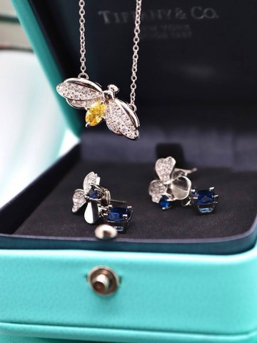 Tiffany & Co. серьги #107022QI