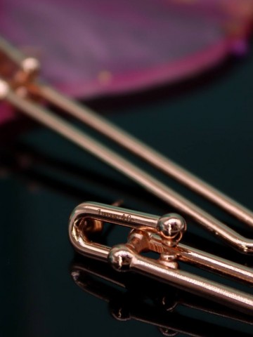 Tiffany & Co. серьги #269891DK