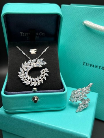 Tiffany & Co. серьги #306820HB