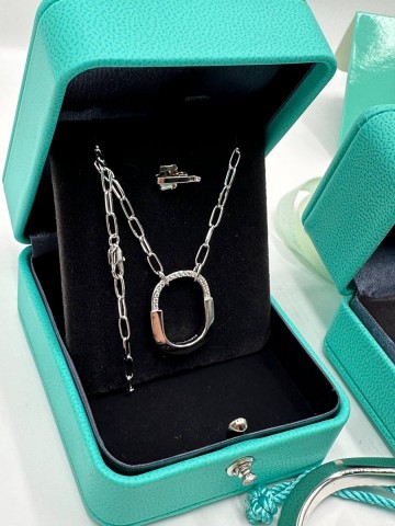 Tiffany & Co. кулон #314027BR