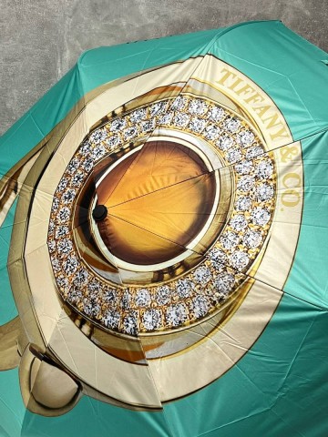 Tiffany & Co. зонт #491231XH