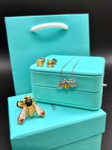 Tiffany & Co. серьги #502237RB