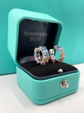 Tiffany & Co. серьги #530473WU