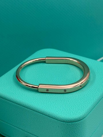 Tiffany & Co браслет #720146IP