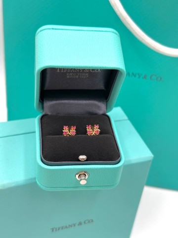 Tiffany & Co. серьги #760443XY