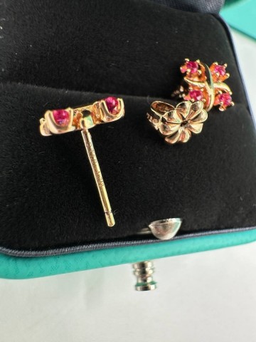 Tiffany & Co. серьги #760443XY