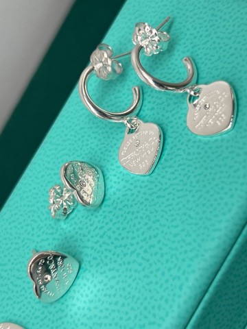 Tiffany & Co. серьги круглые #849897CF