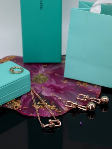 Tiffany & Co. серьги #953310WM