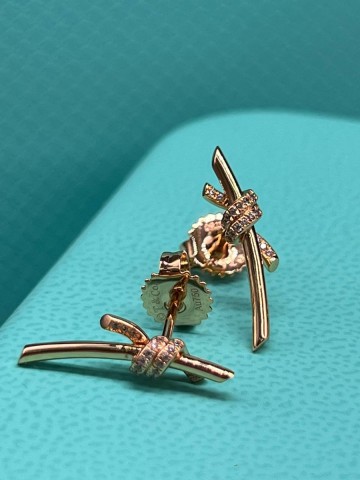 Tiffany & Co. серьги #960281GD