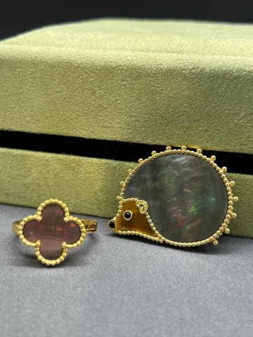 Van Cleef & Arpels брошь #851497QI