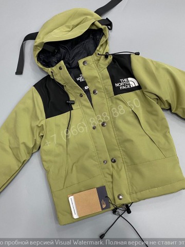 Пуховик The North Face