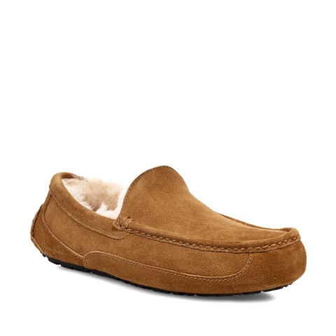 Men's Ascot Chestnut