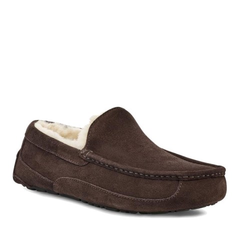Men's Ascot Chocolate